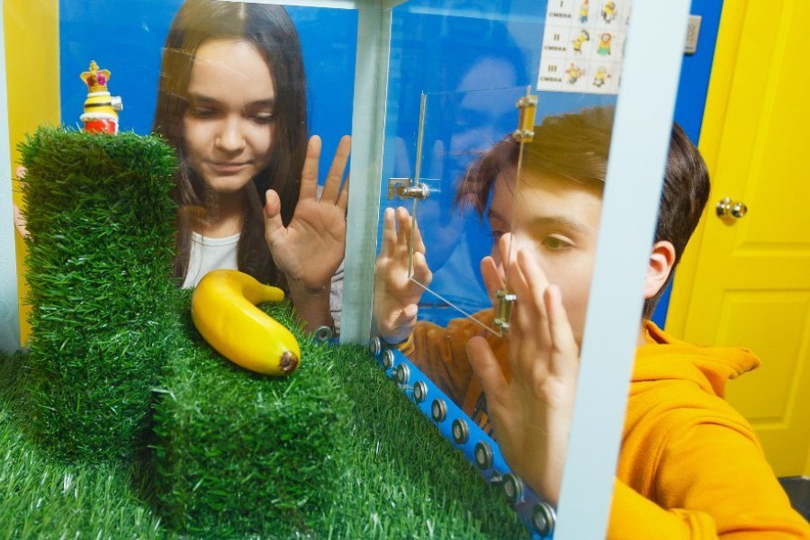 Квест в реальности Миньоны от компании Перезагрузка Квест в реальности Миньоны от компании Перезагрузка